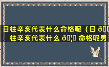 日柱辛亥代表什么命格呢（日 🌷 柱辛亥代表什么 🦄 命格呢男）